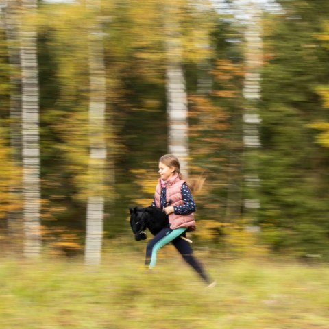 Hobby Horse Skippi - koń na kiju - Czarny