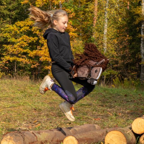 Hobby Horse Skippi - koń na kiju - Kasztanowaty