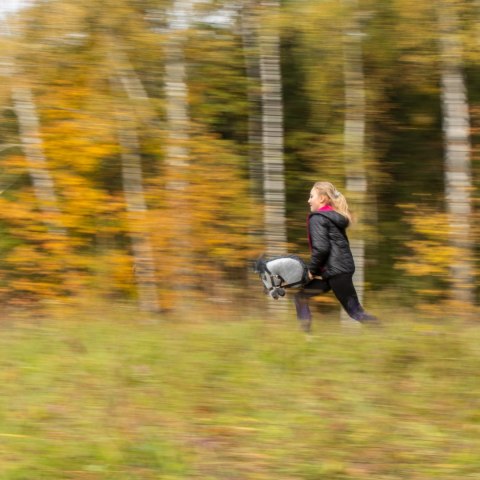 Hobby Horse Skippi - koń na kiju - Szary